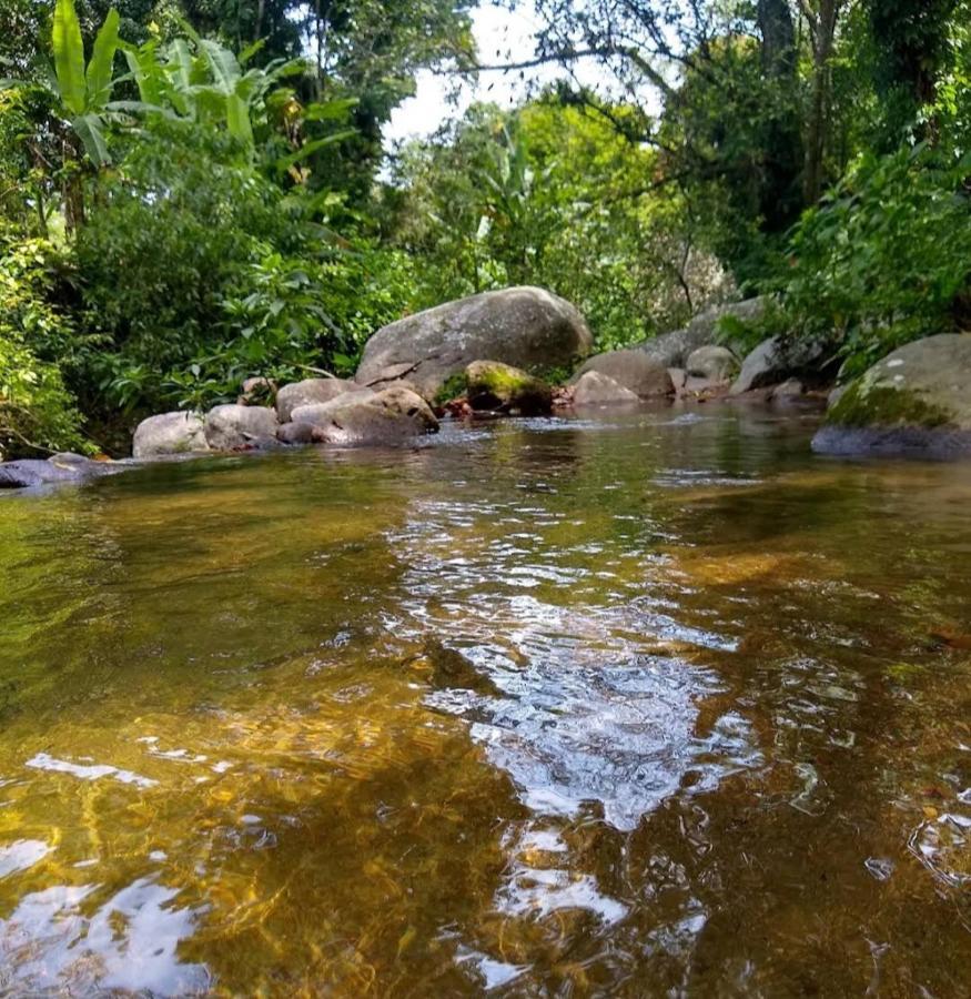 Girassol * Río de Janeiro